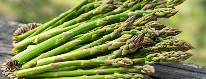 Fresh asparagus