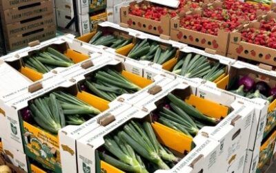 The sovereignty of the supply chain: Why domestic sourcing is a business strategy, not a trend
