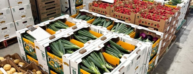 Flats of Ontario-grown produce at the Ontario Food Terminal
