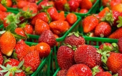 Ontario strawberry season is here — and buyers should be ready