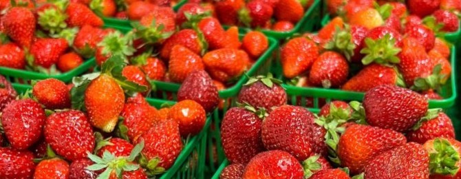 Ontario strawberry season is here — and buyers should be ready