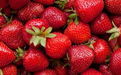 Ontario’s early harvest season is almost here — and timing matters