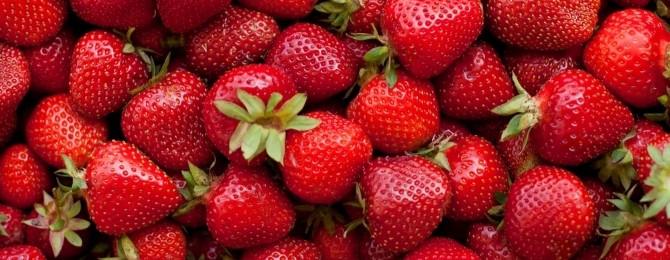 Ontario’s early harvest season is almost here — and timing matters