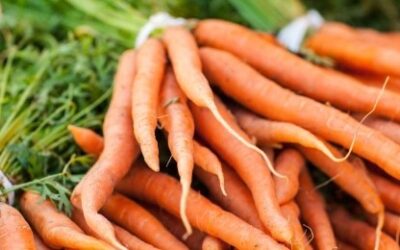 Ontario-grown new crop broccoli, carrots & celery have arrived
