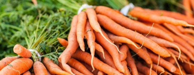 Fresh Ontario carrots