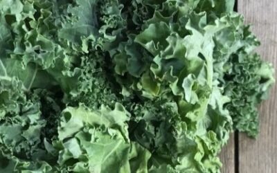 Ontario kale season has arrived: What GTA food buyers need to know