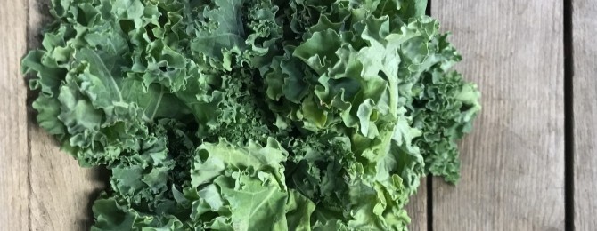 Ontario kale