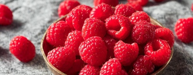 Fresh Ontario raspberries in cartons