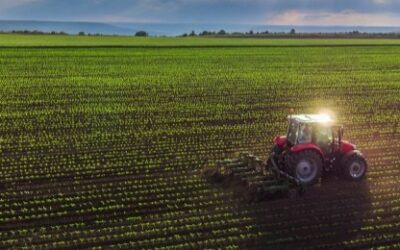 Why buying Ontario-grown produce matters more than ever