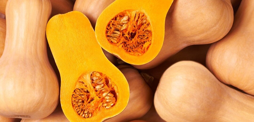 Wholesale Ontario squash