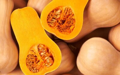 Ontario squash season is at its peak for wholesale buyers