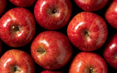 Ontario apple season: A guide for wholesale buyers in the GTA